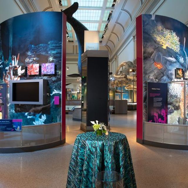 Featured photo from This Elegant Corporate Event Transformed the Smithsonian National Museum of Natural History