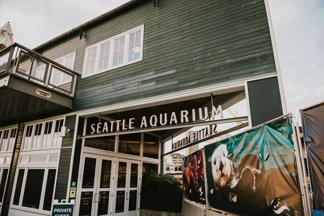 Featured photo from Pier 59