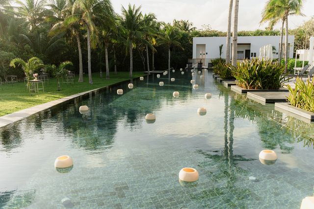 Featured photo from Carbon Garden