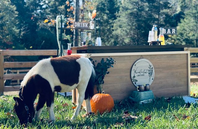 Featured photo from Corporate Event