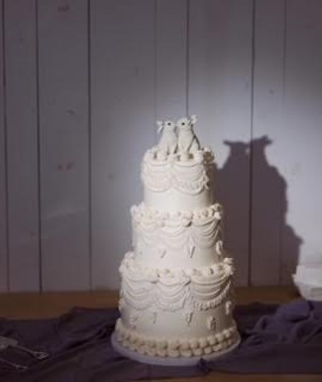 Featured photo from Wedding