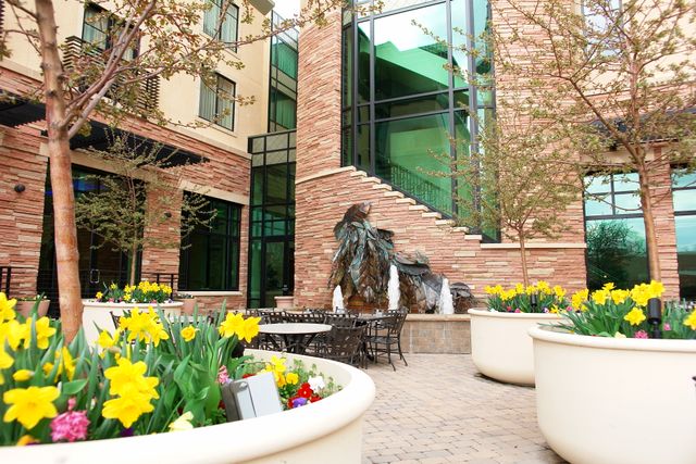 Featured photo from Redgarden Court