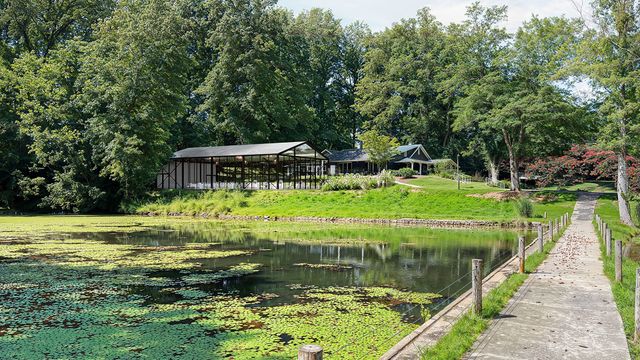 Featured photo from Forest Vista Ceremony Site