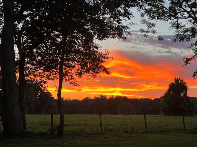 Featured photo from Grassy Lawn