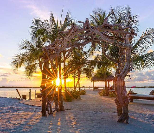 Featured photo from The Sands & Tiki at Largo Beach