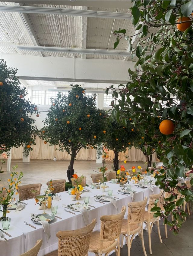 Featured photo from SOL Brand launch