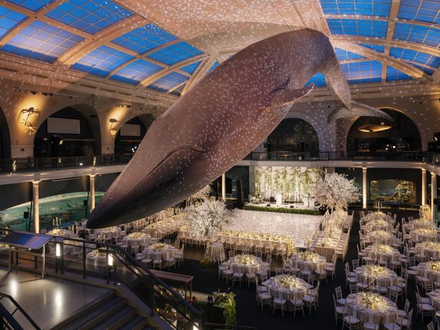 Featured photo from American Museum of Natural History