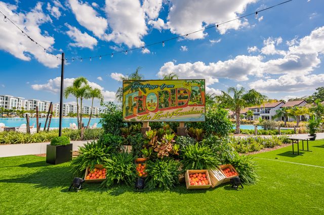 Featured photo from Citrus Squeeze