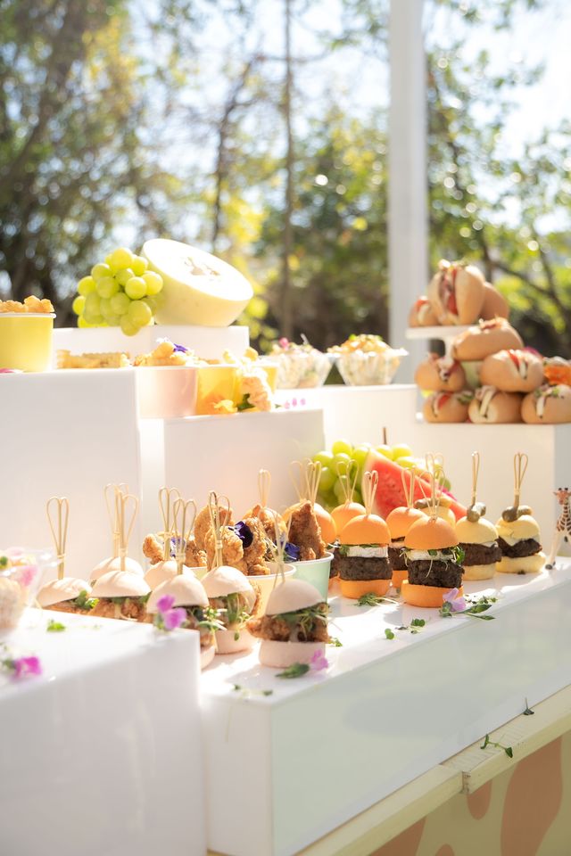 Featured photo from Safari so Good