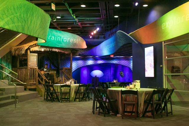 Featured photo from Level 1