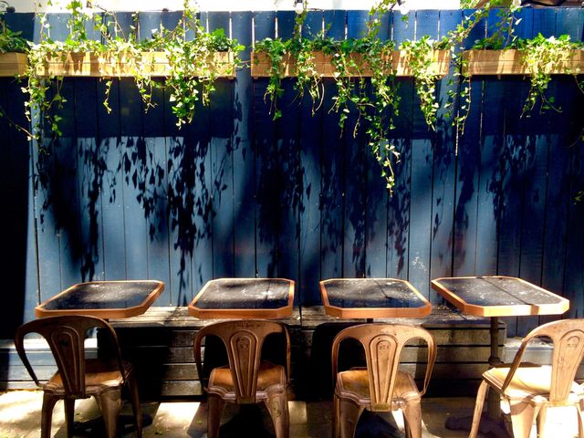 Featured photo from Courtyard & Patio