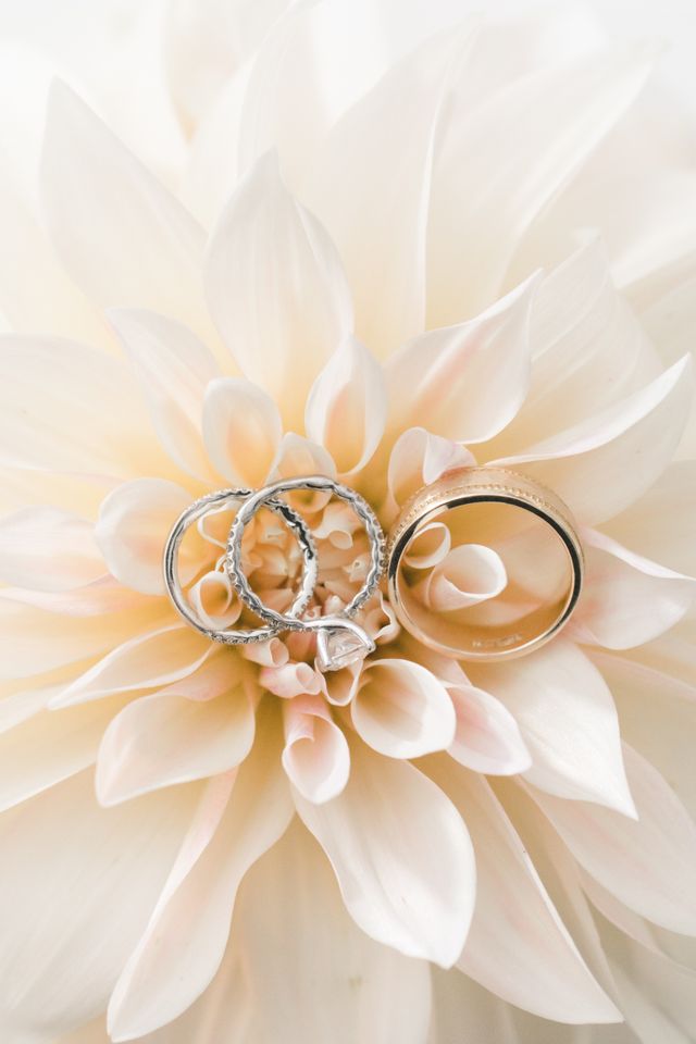 Featured photo from Abbi & Eric's Wedding