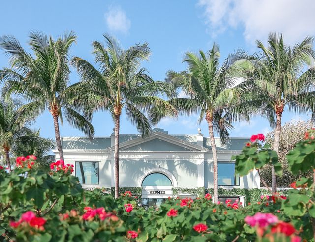 Featured photo from Sip & Play - Palm Beach