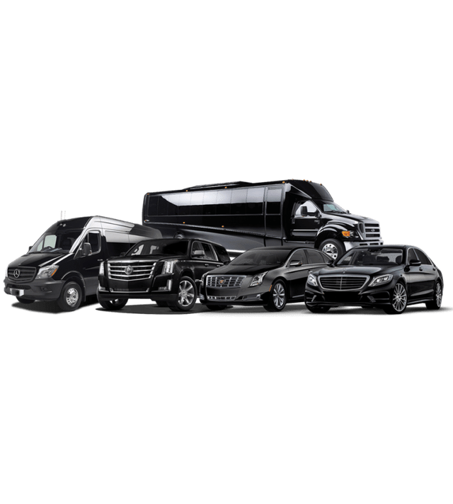 Featured photo from Party Bus