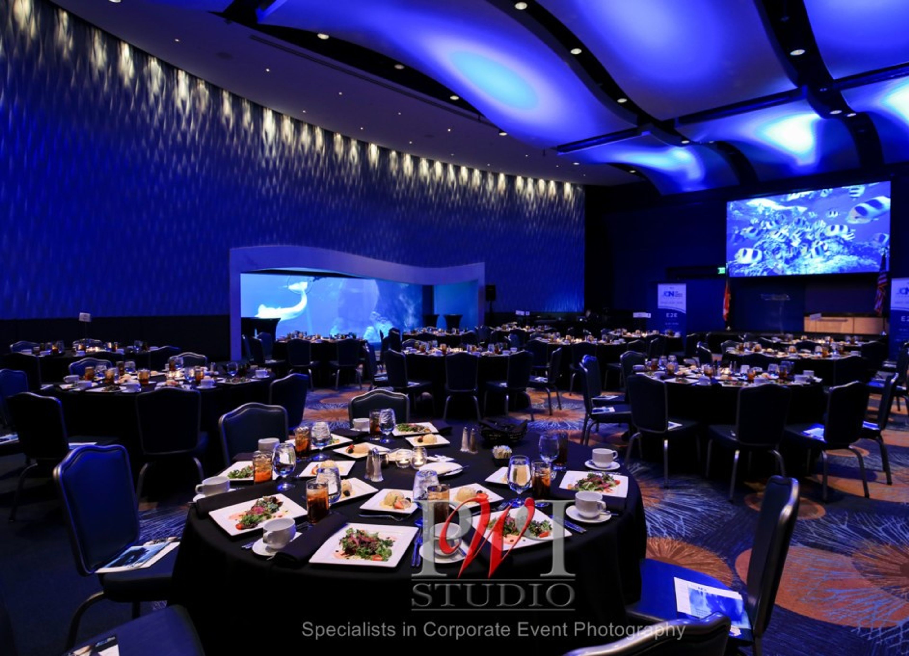 Arctic Room, an event space at Georgia Aquarium