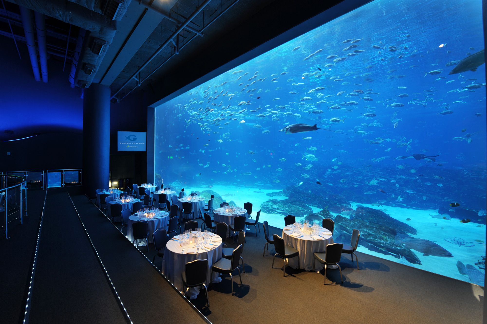 Ocean Voyager | Georgia Aquarium | PartySlate