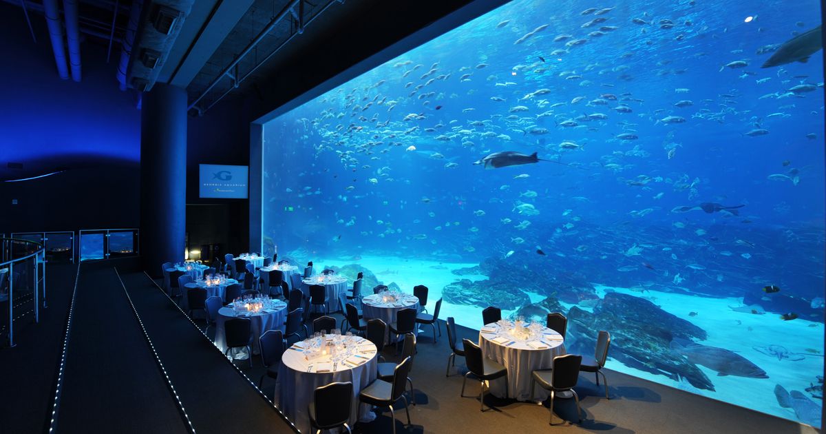 Ocean Voyager | Georgia Aquarium | PartySlate