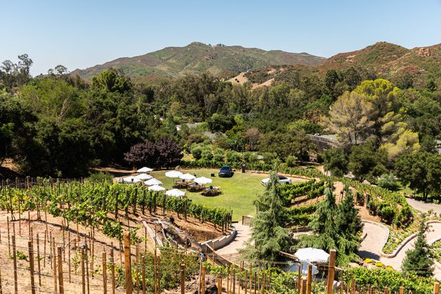 Featured photo from The Vineyards