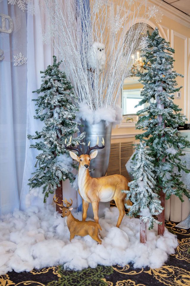 Featured photo from A Little Snowflake Is On the Way