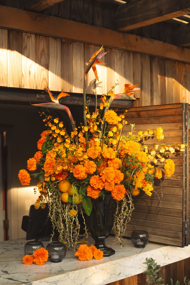 Featured photo from Chefs Table Launch