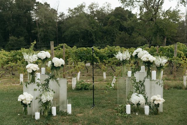 Featured photo from This Elegant Vineyard Wedding at Renault Winery Was Meant To Be