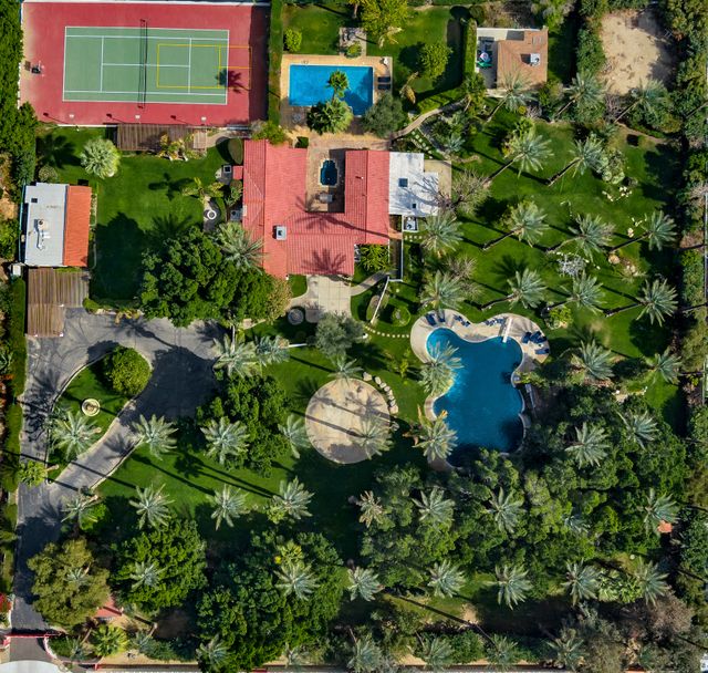 Featured photo from The Lawn