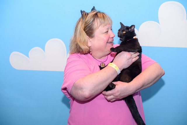 Featured photo from Pop Cats Chicago Covention