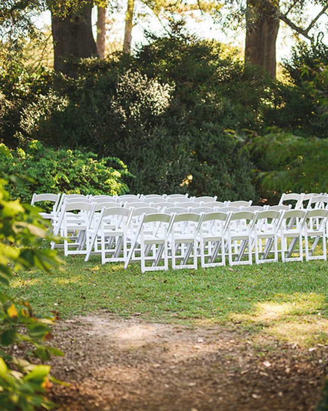 Featured photo from The Glade