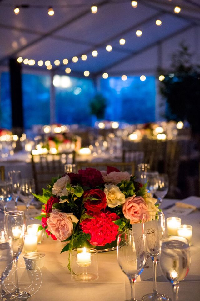 Featured photo from South Terrace