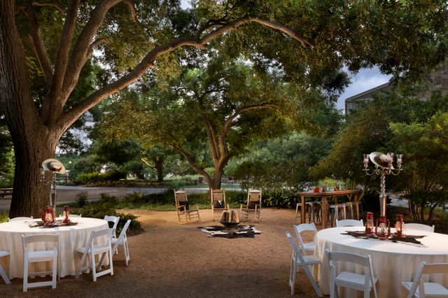 Featured photo from Shady Grove