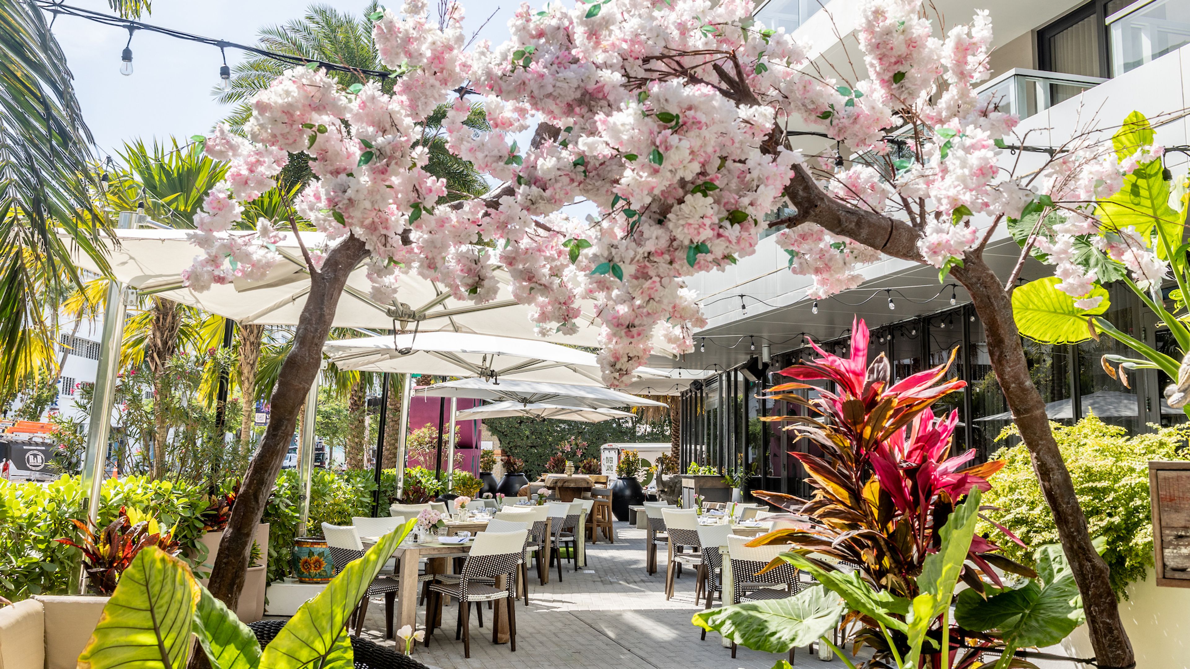 SOBE Room and Terrace, an event space at Bar Habana - El Patio Restaurant