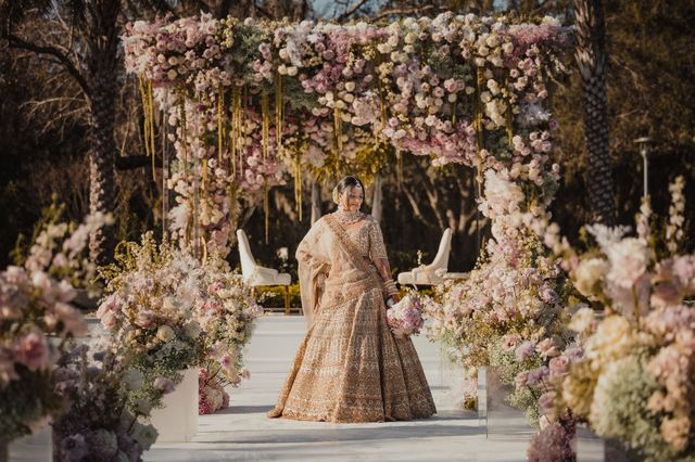 Featured photo from Palm Trees, Petals, and Teacups: A Magical Indian Wedding Journey in Orlando, FL