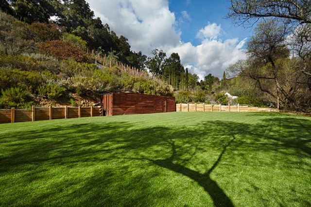 Featured photo from The Meadow