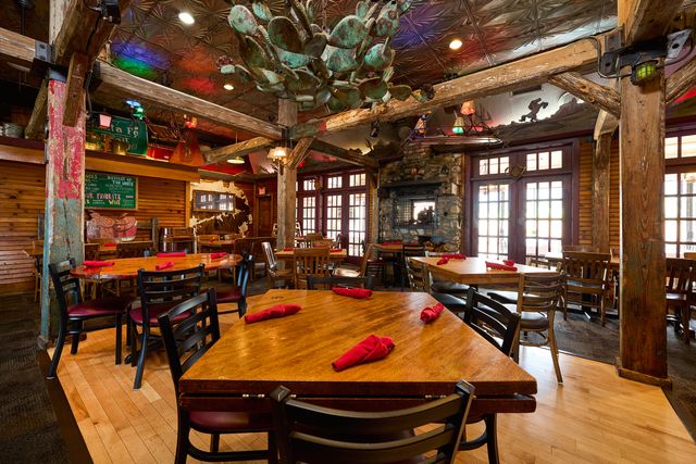 Featured photo from The Cactus Room