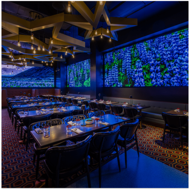 Featured photo from Planet Hollywood NYC