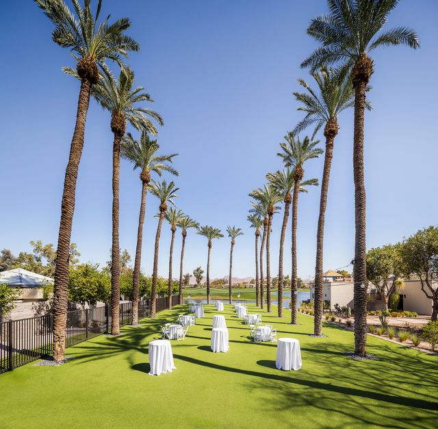 Featured photo from Palm Grove