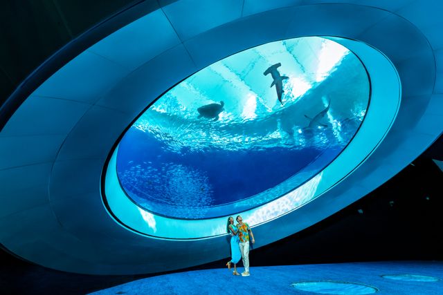 Featured photo from Aquarium - Deep