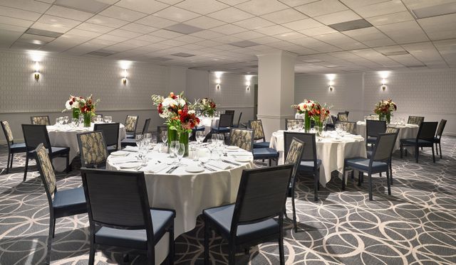 Featured photo from Spade