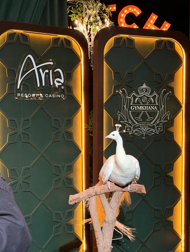 Featured photo from Gymkhana Opening Party