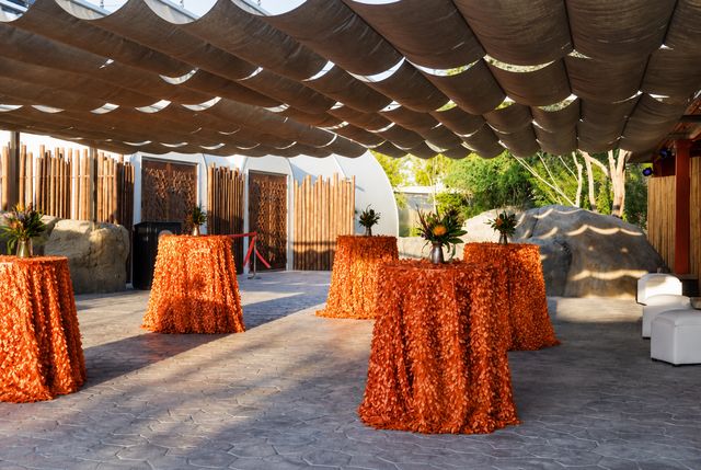 Featured photo from Cocktail Area