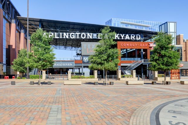 Featured photo from Arlington Backyard