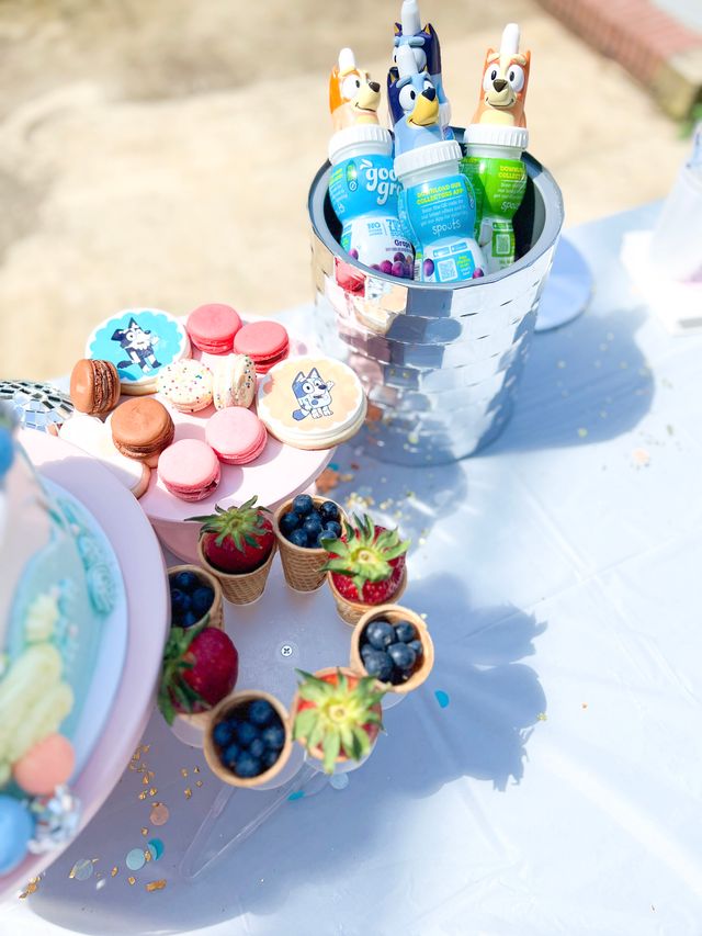 Featured photo from This Episode of Bluey Is Called....