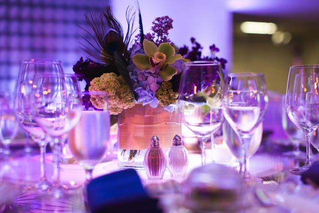 Featured photo from Gala