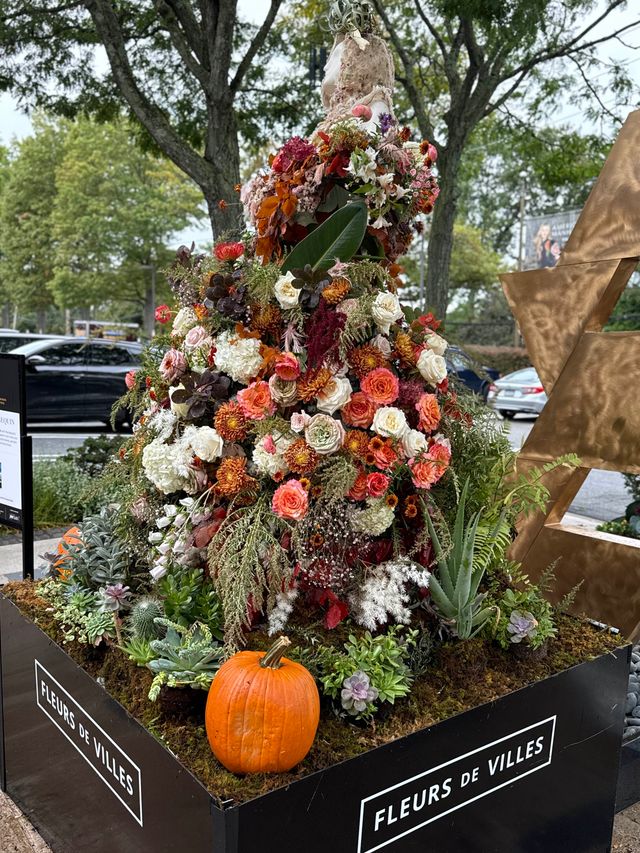 Featured photo from fleur de villes