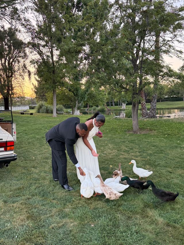 Featured photo from Hawk Ranch