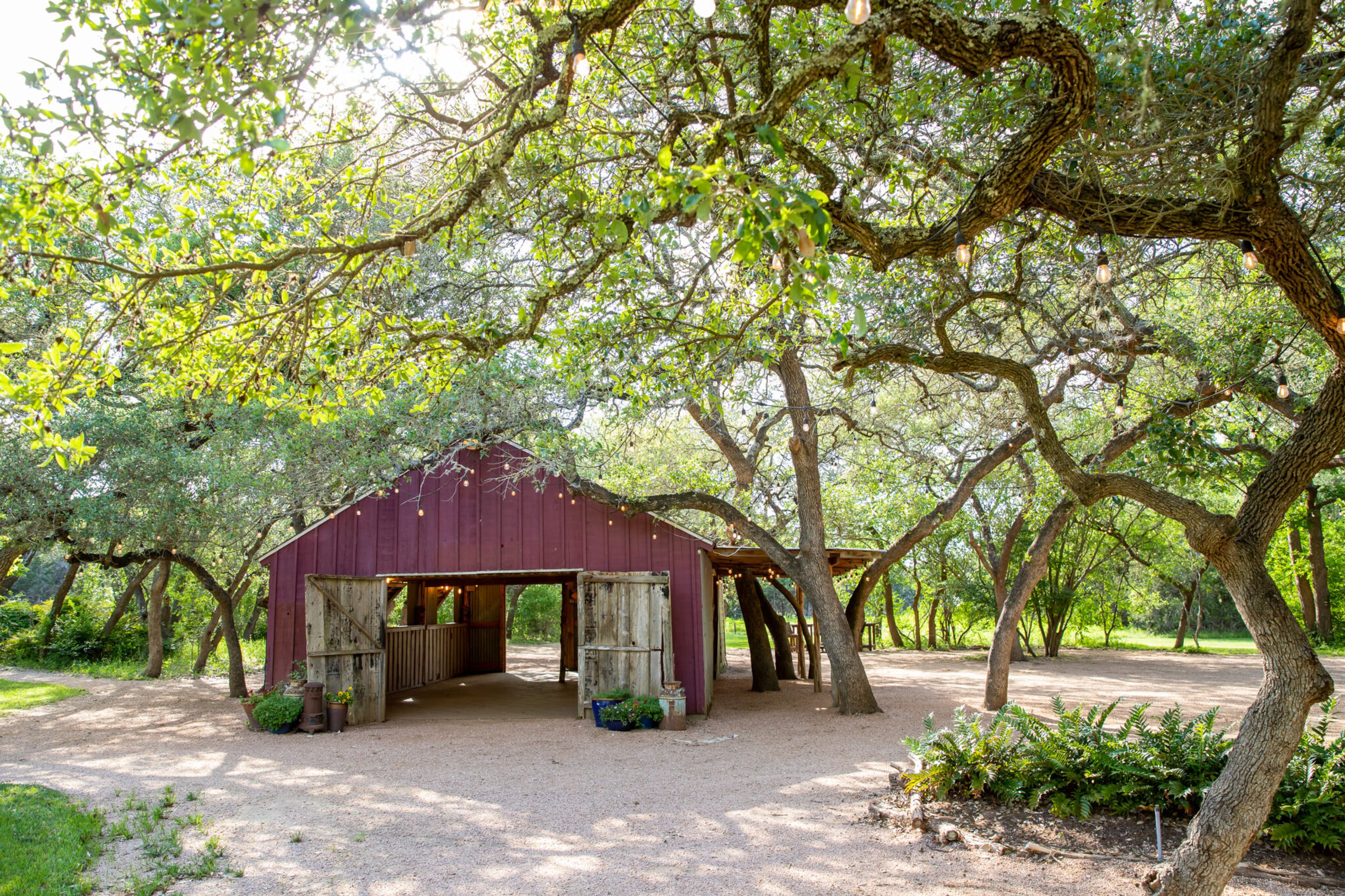 Bluebonnet Barn, an event space at The Wildflower Barn