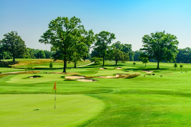 Featured photo from The Loop