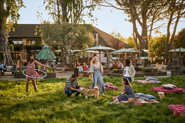 Featured photo from The Lawn