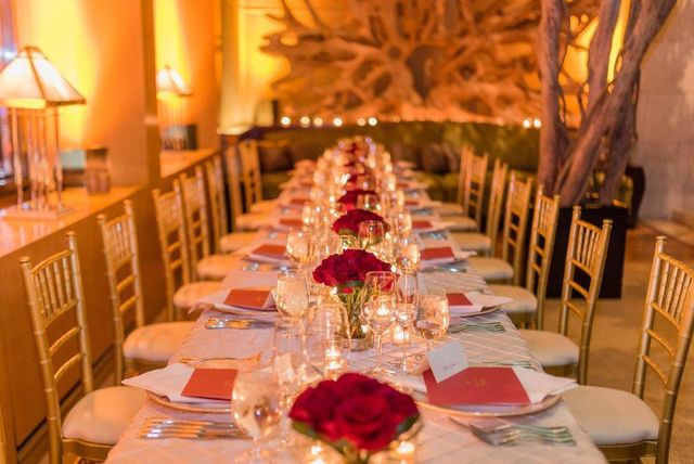 Featured photo from The Garden