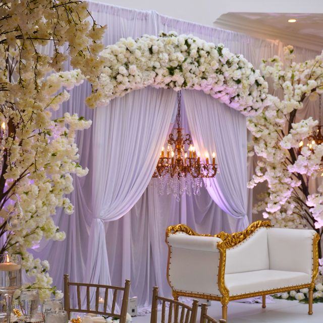 Featured photo from Junior Grand